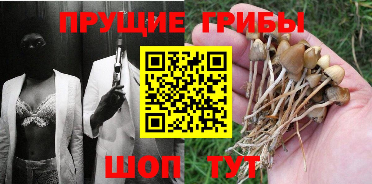 Галлюциногенные грибы Psilocybe Искитим