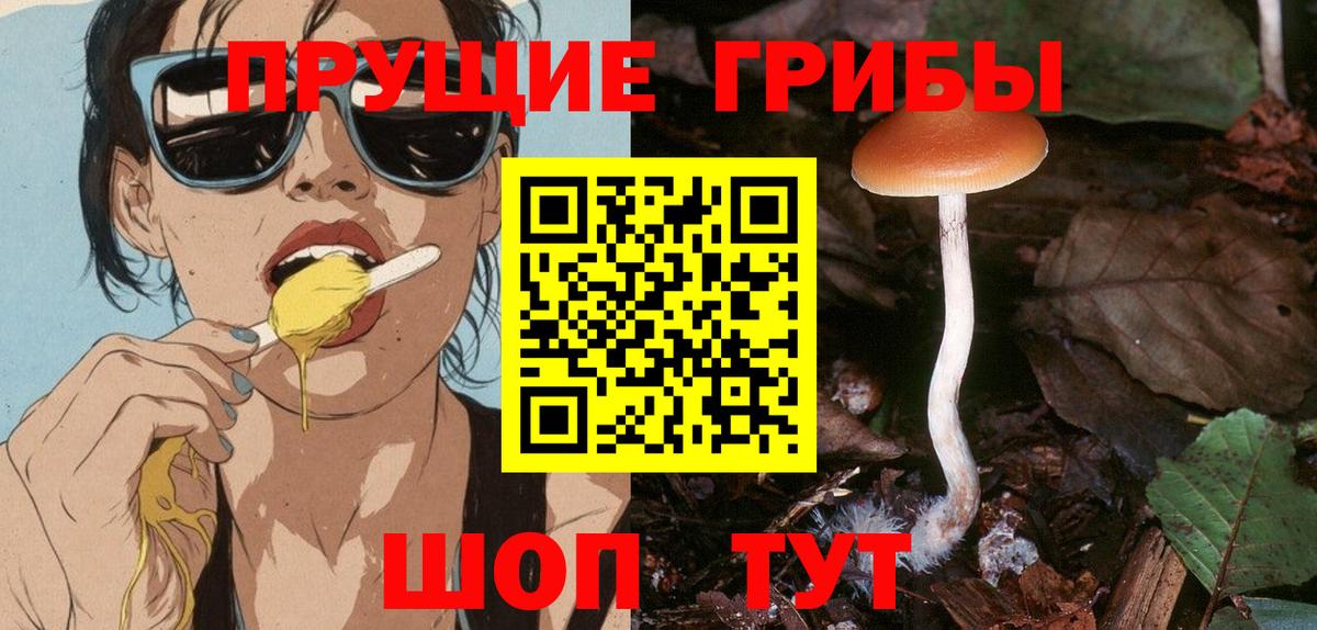 Искитим  Галлюциногенные грибы Psilocybine cubensis  Псилоцибиновые грибы ЛСД  купить наркотик  Вход с VPN 